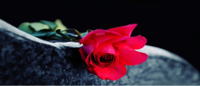 MemorialFlowerImage